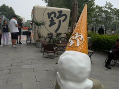 -野人先生现做冰淇淋(北京环宇荟店)