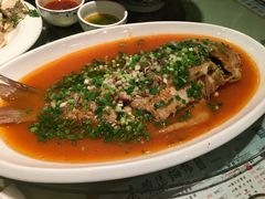 黄河大鲤鱼-老雒阳面馆·水席(高新区店)