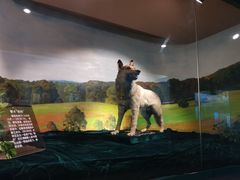 -上海公安博物馆