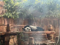 -泉州海丝野生动物世界