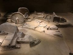 -洛阳周王城天子驾六博物馆