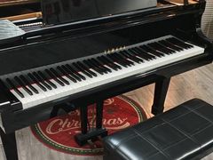 -梅纳·钢琴声乐架子鼓Mena Music(双井店)