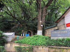 -马王堆汉墓遗址
