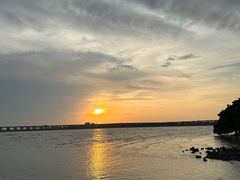 -宝安西湾红树林湿地公园