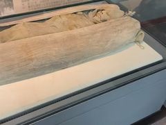 -巴音郭楞蒙古自治州博物馆