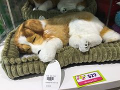 -星光糖果屋