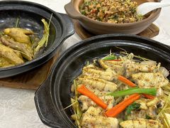 -寻味顺德·南记酒家·传统顺德菜·鱼生(广源路店)