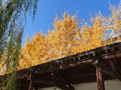 -河北村民俗体验园