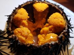 -海胆小馆(东北水饺·春柳店)