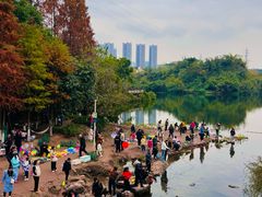 -重庆彩云湖湿地公园
