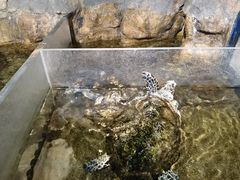 -青岛海底世界-水族馆