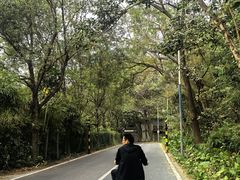 -长洲岛