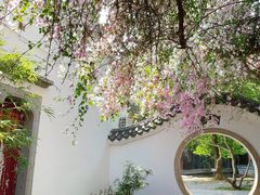 -深圳国际园林花卉博览园