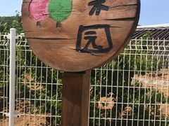 -大连北马山庄