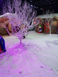 -圣名游乐城冰雪大世界