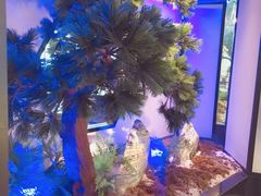 -绿茶餐厅(成都大悦城店)