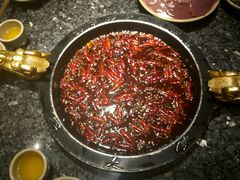 牛油红锅-蜀大侠火锅(寰球文化地标·总府店)