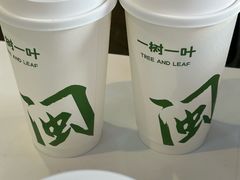 -一树一叶·福建茶档(石鼓路店)