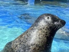 -太平洋海底世界