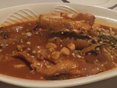 脆皮大乌参-西郊5号·Maggie 5