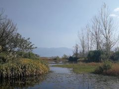 -西昌邛海湿地