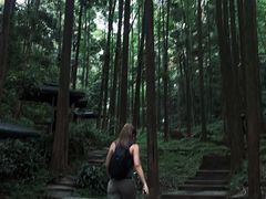 -凤栖山
