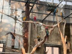 -大连森林动物园