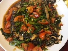 -生态苑农庄(十里画廊遇龙河店)