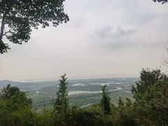 -上海佘山国家森林公园天马山园