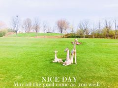 -北京金海湖景区