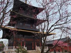 -广富林郊野公园