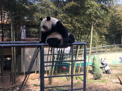 -天目湖御水温泉·度假酒店