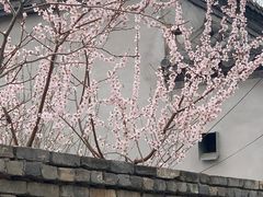 -三里河公园