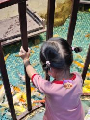 -酷嗒动物文化乐园(cutezoo西溪乐天城店)