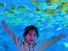 -海合安成都极地海洋公园