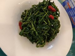 清香枸杞苗-国强手抓(北京西路店)