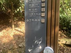 -瑞安圣井山景区