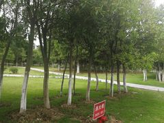 -江南大学(蠡湖校区)