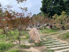 -广州市帽峰山景区