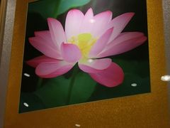 景观位-凤凰楼酒家·粤宴点心(华强北店)