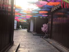 -天目湖山水园