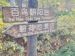 -汇龙潭