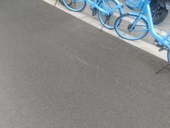 -添彩臻宴