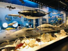 -舟山博物馆