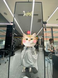 -时尚工厂·科学染发