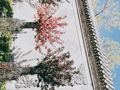 -陶然亭公园