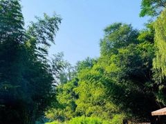 -陕西省红河谷森林公园