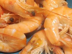 -比尔森韩式烤肉自助(绿园店)