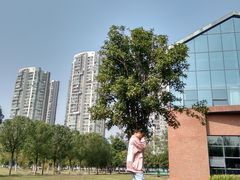 -汉江湾体育公园