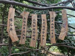 -天目湖山水园